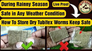 How To Keep Tubifex worms alive  Freeze dried tubifex worms  How to store tubifex worms  tubifex [upl. by Emarie]