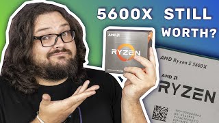 IS THE 5600X STILL WORTH IT  AMD Ryzen 5 5600X Review [upl. by Haase]