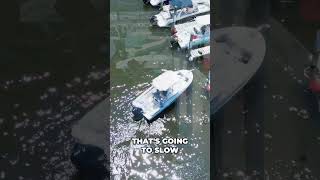 Docking Against Wind and Current with Drone Footage Docking Tip with Bridge Marina boat shorts [upl. by Jorrie]