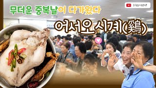 나만 몰랐던 중복을 행복하게 보내는 방법 중복맞이 삼계탕 나눔행사 [upl. by Gariepy]