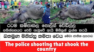 The police shooting that shook the country බකමූණ මිනිස්සු කම්පා වෙයි Elephant soul [upl. by Evelyn]