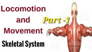 Movement amp Locomotion Part 1  Human Anatomy and Physiology By Laxmi kant sir [upl. by Yboc]