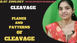 CleavagePlanes And Patterns Of Cleavage BSc 3rd year Developmental biologyCleavage Embryology [upl. by Giordano]