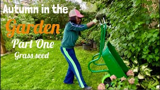 Autumn GardeningGarden RescueGrass Seeding gardening homegarden lawn grassseed [upl. by Iana332]