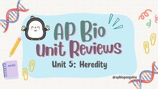 AP Biology Review Unit 5 Heredity [upl. by Yahsram85]