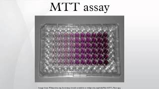 MTT assay [upl. by Eniak]