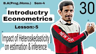 30 Impact of Heteroskedasticity on estimation amp Inference  Introductory or Basic Econometrics  Du [upl. by Kiersten]