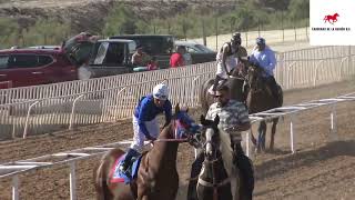 EL DON LOLO C SAN MARTIN VS EL 2020 C CENTINELA LA CACHANILLA RACE TRACK MEXICALI [upl. by Ailedo]