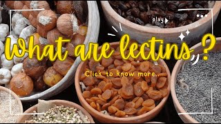 The Sneaky Science of Lectins How They Trick Our Cells [upl. by Shela855]