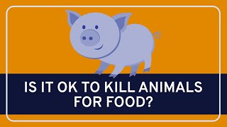 PHILOSOPHY  Ethics Killing Animals for Food HD [upl. by Malet701]