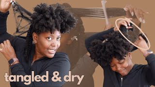 ITS NEVER BEEN THIS BAD BEFORE Detangling Dry Matted Natural Hair  Life Update [upl. by Tiffi]