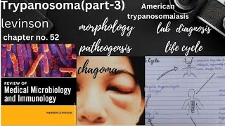 American Tryoanosomiasis Trypanosoma cruzimorphology life cycle pathogenesis lab diagnosis [upl. by Gnart]