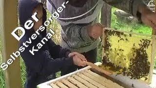 Bienen fuettern und ersten Blick in die Bienenkiste [upl. by Harhay250]