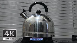 8 hours of boiling kettle sound effect  Whistling Kettle [upl. by Suhploda514]