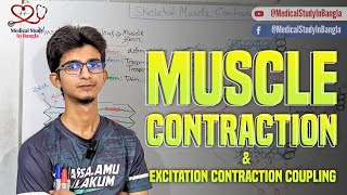 Skeletal muscle contraction physiology in bangla  Excitation contraction coupling [upl. by Mya]