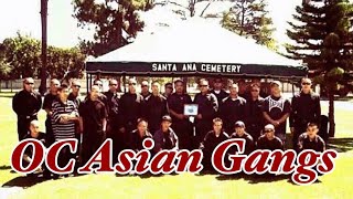 Orange County Asian Gangs Santa Ana Westminster Little Saigon Garden Grove [upl. by Fonzie]