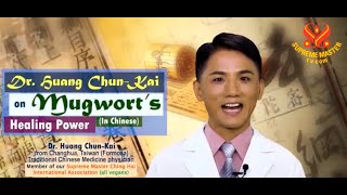 Dr Huang ChunKai on Mugworts Healing Power [upl. by Dream]