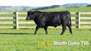 Lot 52 Storth Oaks T85 Medium [upl. by Engvall]