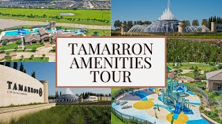 Driving Around Tamarron and Showing Amenities Katy Texas Neighborhood Tour  Jo amp Co katyrealtor [upl. by Stockmon451]