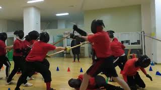 German Longsword Group Combat Highlight [upl. by Camella]