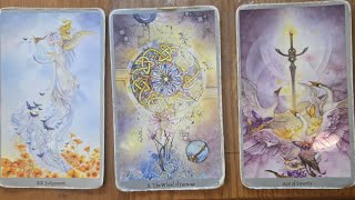 Shadowscapes Deck reading 4 2ND WK OF NOV [upl. by Dincolo]