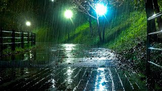 Heavy rain covers the park at night rain sounds good for insomniacs ASMR lullabies for deep sleep [upl. by Yrennalf]