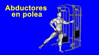 Ejercita los abductores con la rutina abductores en polea [upl. by Nnaoj396]