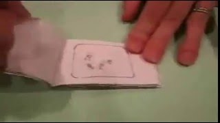 Mitosis Flipbook [upl. by Neladgam]