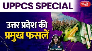 Important Crops of Uttar Pradesh  Uppcs Special  Crops  Geography of Uttar Pradesh Sanskriti Pcs [upl. by Milinda]