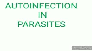 Autoinfection in parasites [upl. by Onifled551]