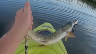 Kayak Fishing for Northern Pike [upl. by Ynots]