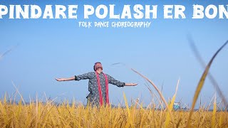 Pindare Polasher Bon পিনদারে পলাশ এর বন  Folk dance choreography folksong dance youtube [upl. by Atterrol636]