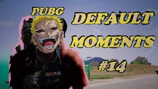 PUBG DEFAULT MOMENTS 14 [upl. by Loggia35]