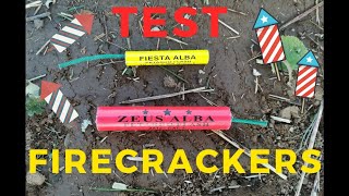 FIRECRACKERS TEST  Fiesta alba vs Zeus alba [upl. by Calvo278]