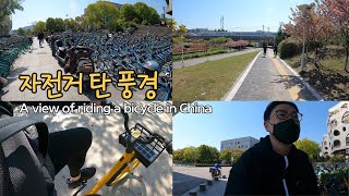 중국 공유 자전거 타보기  Riding a ChinaShared Bicycle [upl. by Phemia162]