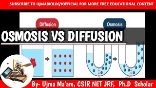 OSMOSIS VS DIFFUSION  9TH CLASS  CBSE BOARD 11TH CLass hindi medium UjmaBiologyofficial [upl. by Ullyot]