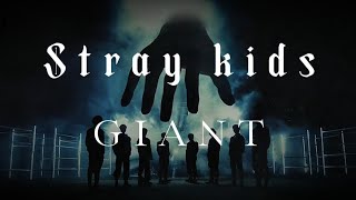 Stray kids  GIANT Lyrics [upl. by Koralle]