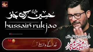 Hussain Ruk Jao  Mir Hasan Mir  Noha Status  Hussaini Azadari  Hussaini Azadari Channel [upl. by Oneill287]