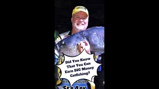 Secrets to Winning BIG in Catfishing Tournaments [upl. by Furlani]