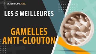 ⭐️ MEILLEURE GAMELLE ANTIGLOUTON  Comparatif 2024 [upl. by Nolie]