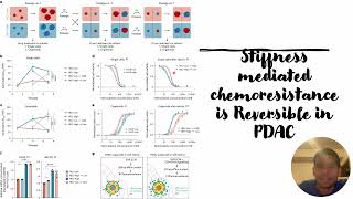 Stiffness mediated chemoresistance in PDAC Code 677 [upl. by Eadahs841]