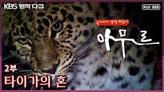 명작다큐🎖️ 동아시아 생명대탐사 아무르 Amur  2부 타이가의 혼 KBS 20110407 방송 [upl. by Cchaddie]