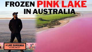 Pink Lake in Australia  Bumbunga Lake  South Australia  The MAGnificent Show [upl. by Maxama]