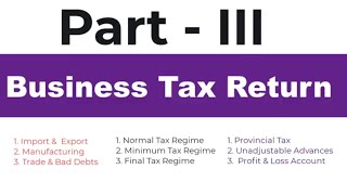 Filing Your First Professional Business Tax Return Everything You Need to Know Part III [upl. by Ayiotal]