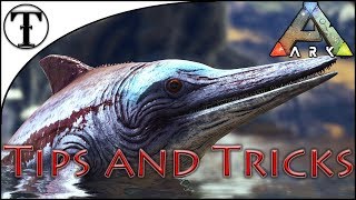 Fast Ichthyosaurus Taming Guide  Ark  Survival Evolved Tips and Tricks [upl. by Yenahc]