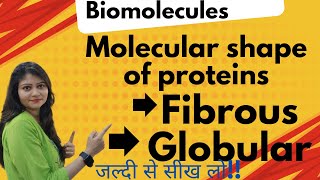 Molecular Shape Of Proteins  Fibrous  Globular  Proteins  Biomolecules  Class 12 😱😱🔥🔥 [upl. by Takakura126]