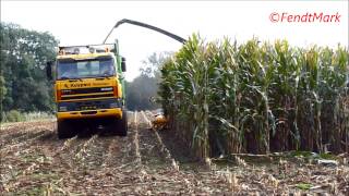 Kuypers Schinnen met Newholland 700 FR The Beast [upl. by Charin548]