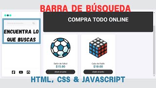 Barra de búsqueda  HTML CSS amp JavaScript  Web development [upl. by Wurtz]