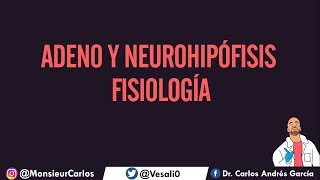 Fisiología  Hipófisis Hormonas Regulación de la Adeno y Neurohipófisis [upl. by Maurilia]