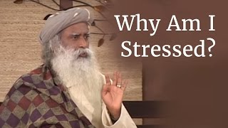 Why Am I Stressed  Sadhguru on Stress [upl. by Sophi]